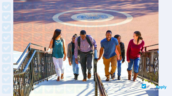 Alvernia University photo #13