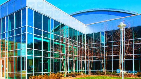Anne Arundel Community College photo #6