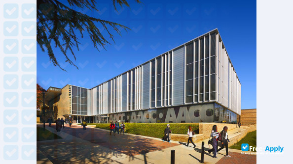 Anne Arundel Community College photo #5