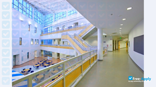 Anne Arundel Community College photo #7