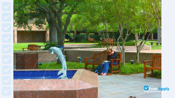 Alvin Community College photo #5