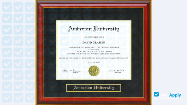 Foto de la Amberton University #2
