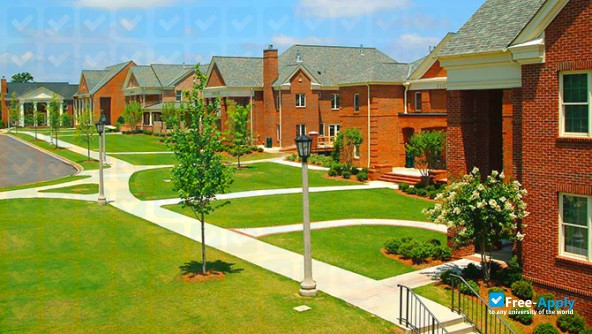 Birmingham Southern College photo #10