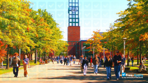 Binghamton University photo #6