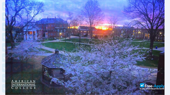 American International College photo #14