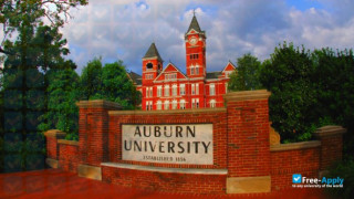 Auburn University vignette #8