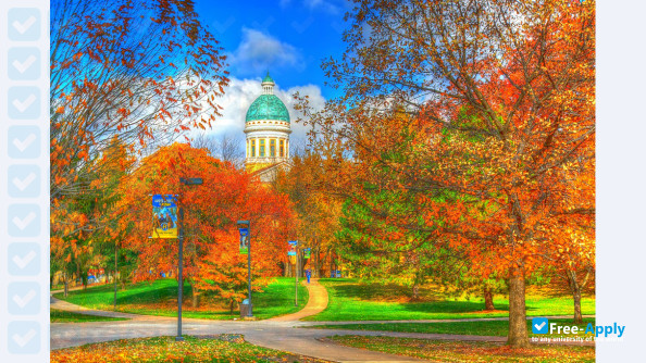 Augustana College Rock Island photo #3