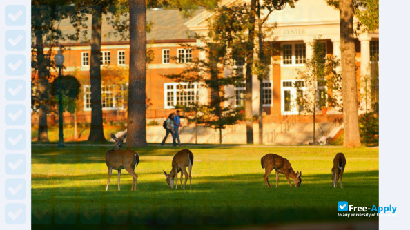 Berry College photo #3