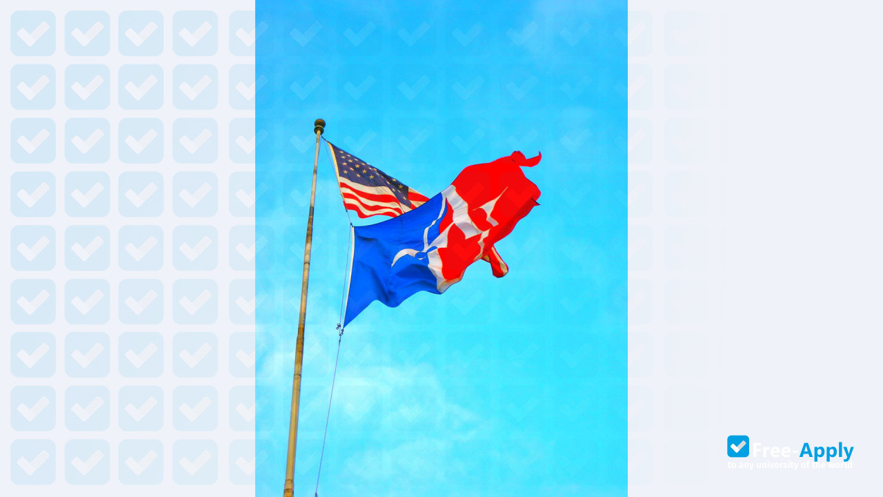 American University фотография №15