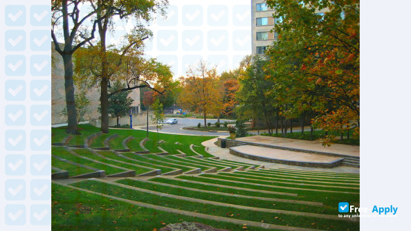 American University фотография №12