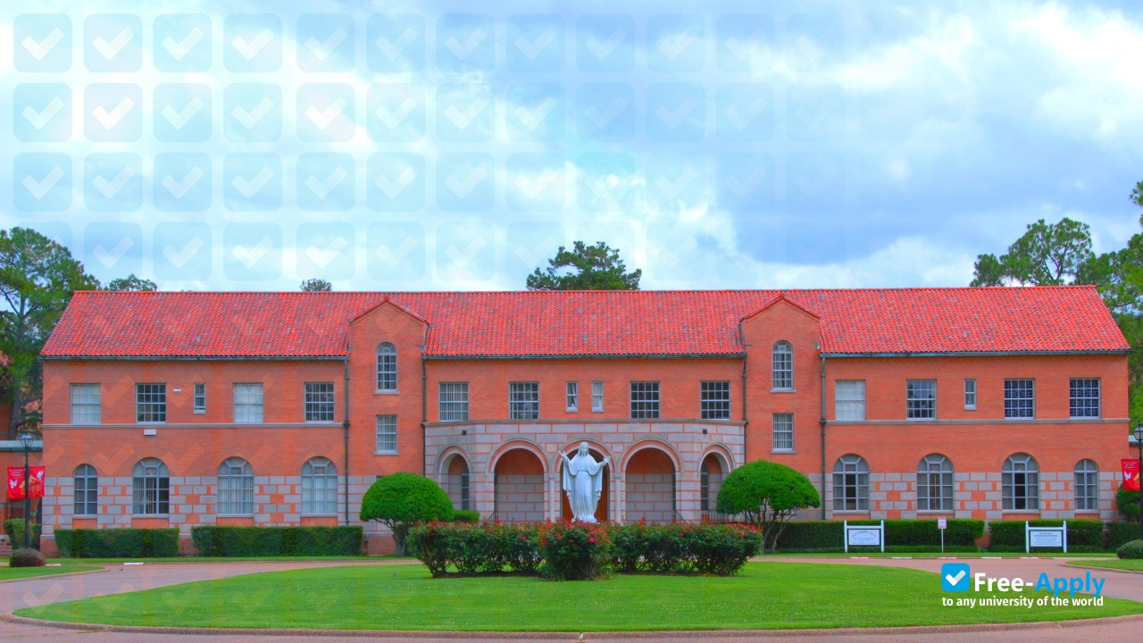Austin Graduate School of Theology photo #4