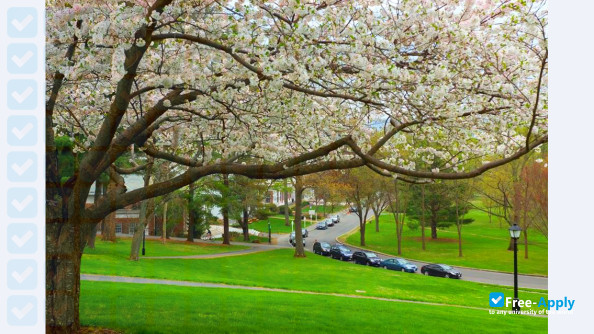 Amherst College photo #8