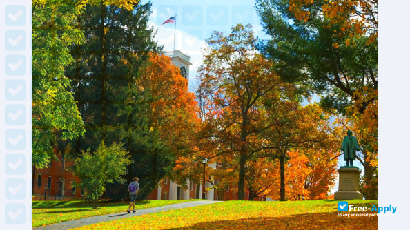 Amherst College photo #11