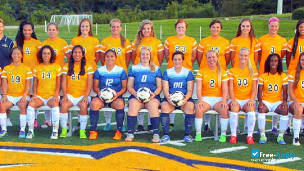 Photo de l’Averett University #5