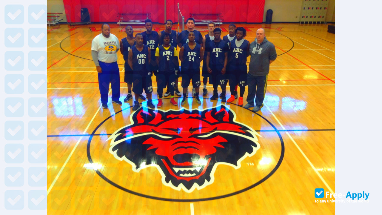 Arkansas Northeastern College photo #2