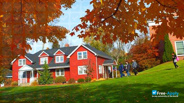 Bay Path University photo