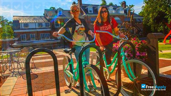Bay Path University photo #6