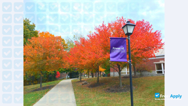 Bluffton University фотография №11