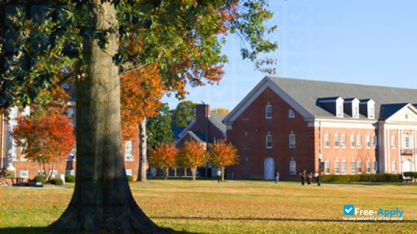 Foto de la Bennett College #4