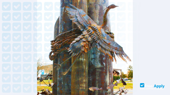 Photo de l’Beaufort County Community College #9