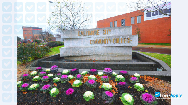 Baltimore City Community College фотография №1