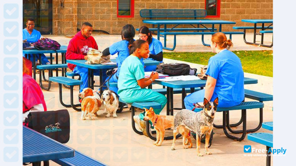 Bel-Rea Institute of Animal Technology photo #7