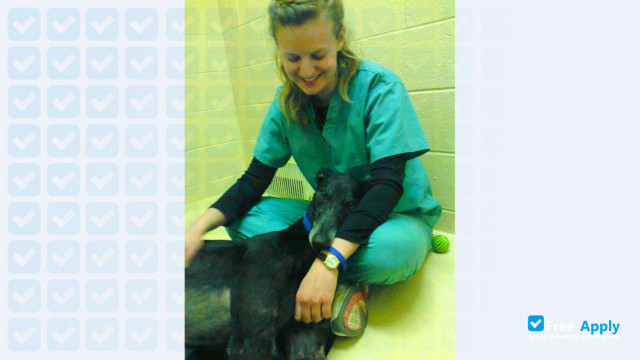 Bel-Rea Institute of Animal Technology – Bel-Rea Institute of Animal Technology –