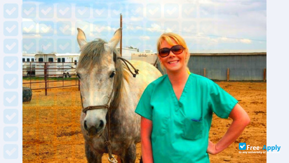 Bel-Rea Institute of Animal Technology photo #8