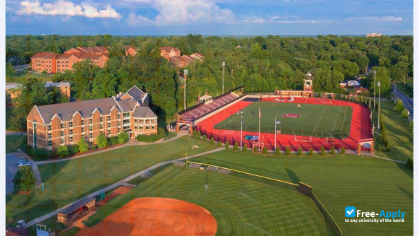 Bellarmine University фотография №14