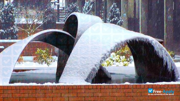 Photo de l’Bellevue College #10