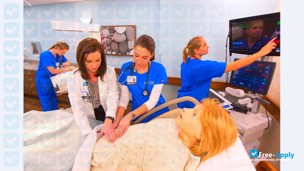 Bellin College photo #8