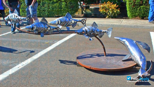 Bellingham Technical College photo #13
