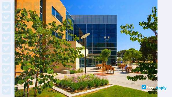 California State University photo #5