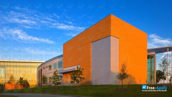 Cedar Valley College photo #3