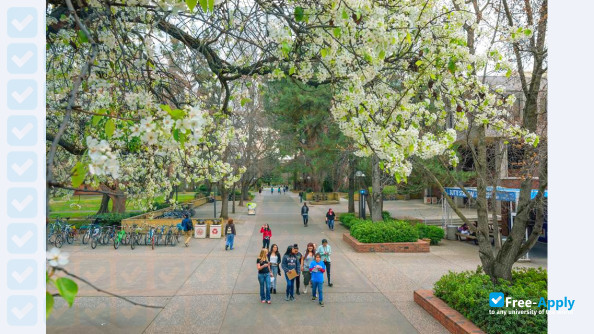California State University photo #13