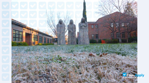 California State University photo #7