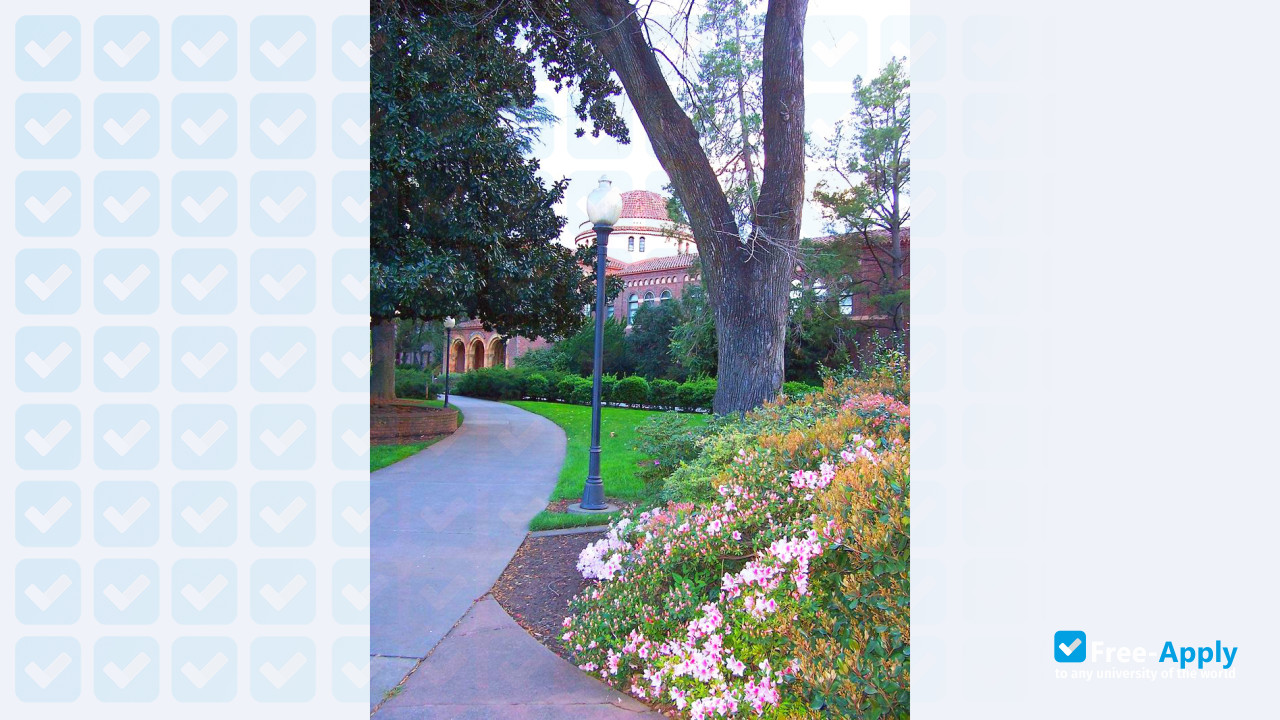 California State University photo #9