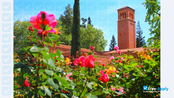 California State University photo #5
