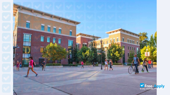 California State University photo #8
