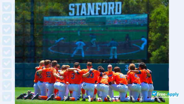 California State University, Fullerton photo #11