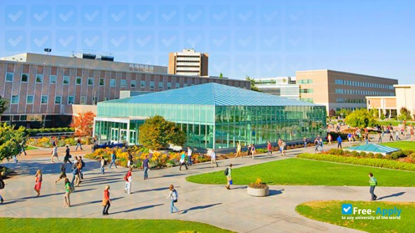 Brigham Young University photo #3