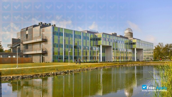 California State University photo #7