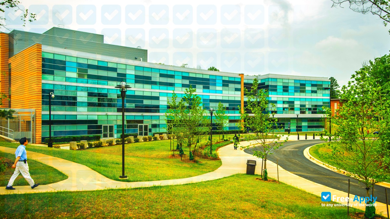 Bowie State University photo #5
