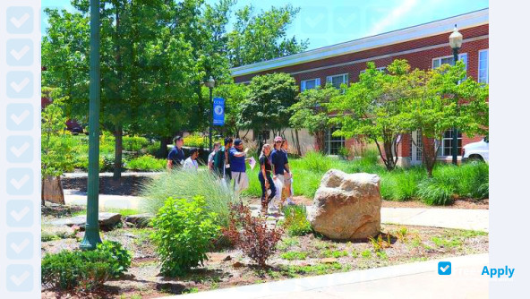 Central Connecticut State University photo #3