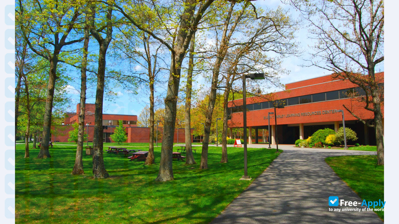 Foto de la Bristol Community College #6