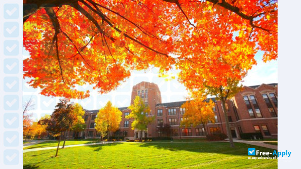 Central Michigan University photo #6