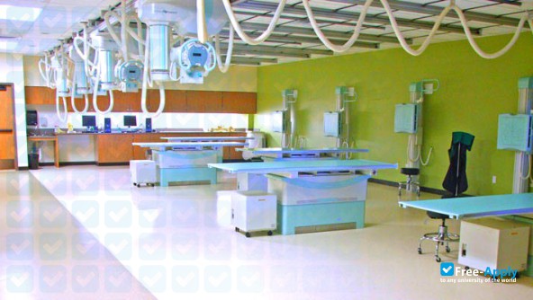 Brookhaven College photo #8