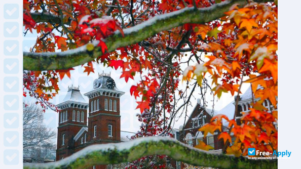 California University of Pennsylvania photo #14