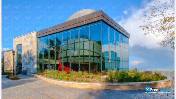 Carthage College photo #7