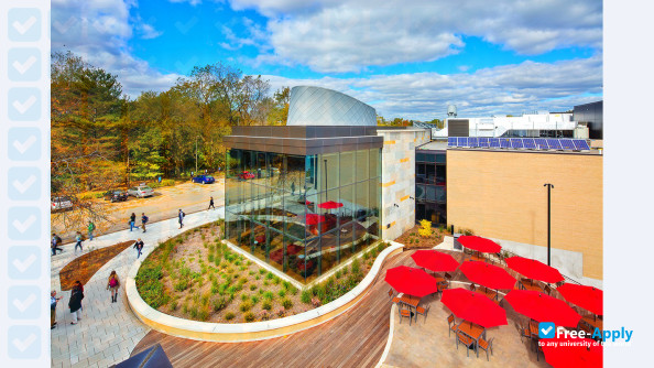 Carthage College photo #8